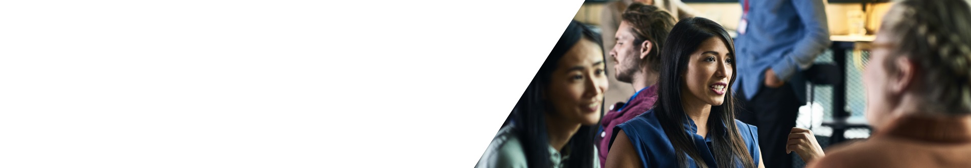 India banner
