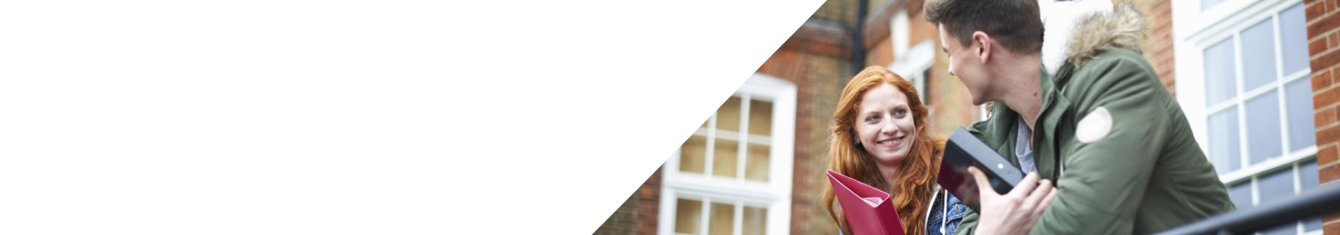 t levels top banner